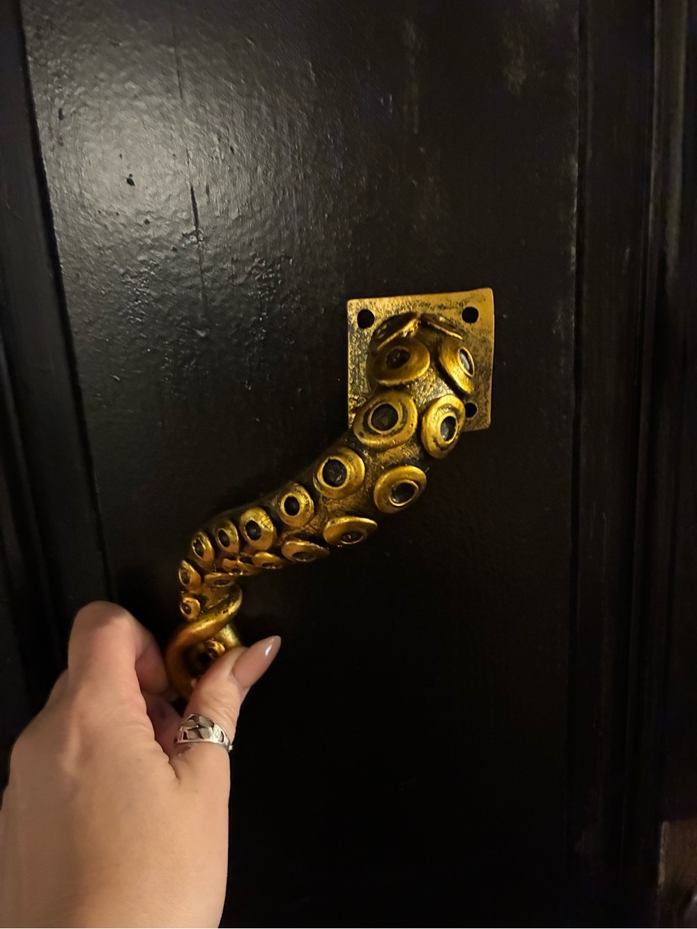 Unique Octopus Door Handle